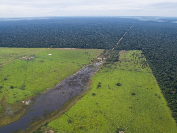 No dia 29 devem ser leiloadas 31 fazendas caso não tenha sido feita uma proposta única na primeira etapa (Foto: Lut Leilões/ Divulgação)
