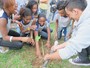 Favela é plantada por alunos em escola pública dentro do Alemão Favela é plantada por alunos em escola pública dentro do Alemão