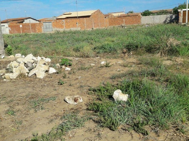 Adolescente foi encontrado em um terreno baldio. Pedra manchada de sangue foi utilizada no crime (Foto: Aracelly Romão / TV Grande Rio) Adolescente foi encontrado em um terreno baldio. Pedra manchada de sangue foi utilizada no crime (Foto: Aracelly Romão / TV Grande Rio)