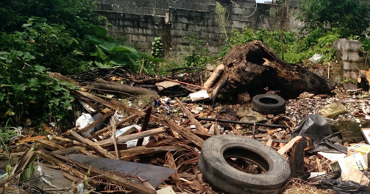 G Terreno Vira Dep Sito De Lixo Em S O Vicente Sp A Situa O