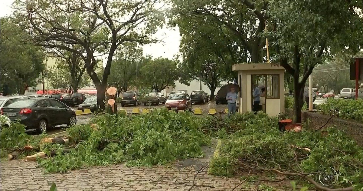 G1 - Chuva deixa estragos na região Centro-Oeste Paulista ... - Globo.com