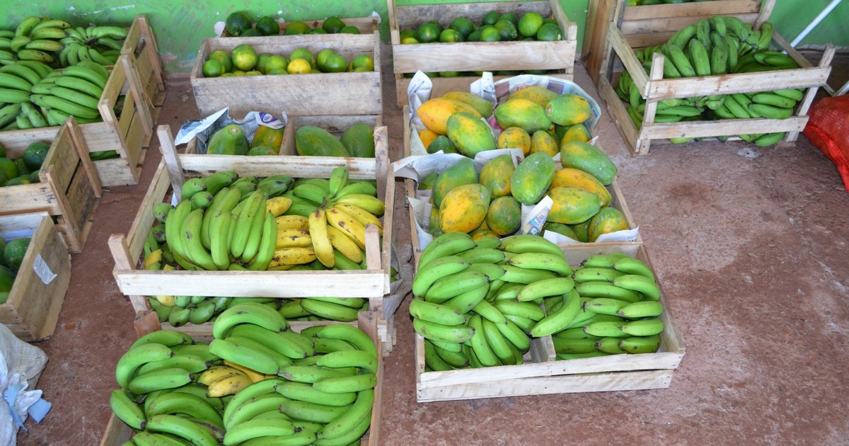 زبى+هايج G1 - Venda de alimentos da agricultura familiar para escolas é ...