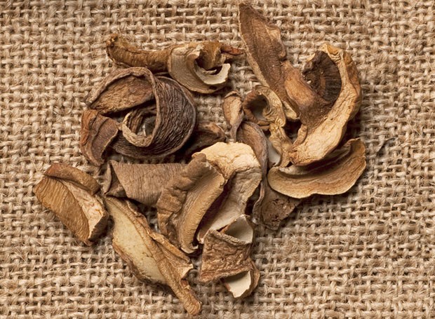 Conheça os diferentes tipos de cogumelos: Champignon Noir (Foto: Iara Venanzi/Editora Globo)