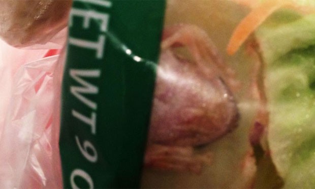 Mulher encontrou um sapo vivo em embalagem de salada. (Foto: Reprodução)