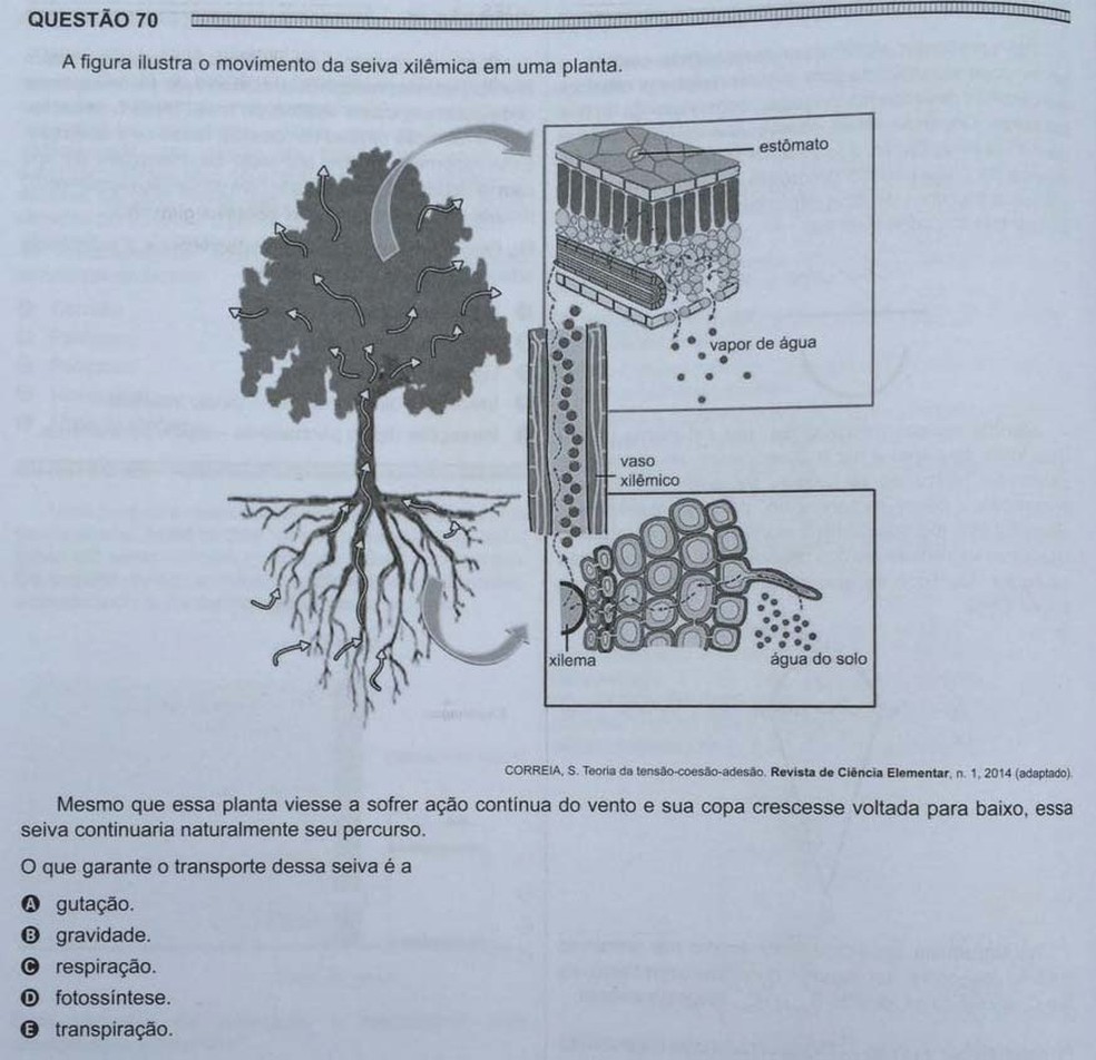 ENEM 2016 - 1º DIA - PROVA BRANCA - QUESTÃO 70 (Foto: G1 )