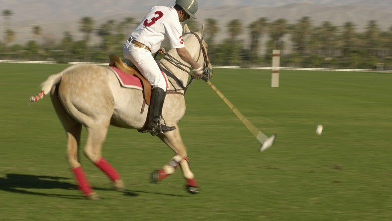 Cabeça de cavalo com corda no jogo esportivo de corrida