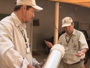 Agentes da Sucen capturam mosquito para ser analisado (Foto: Reprodução/TV TEM)