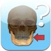 Anatomy Quiz
