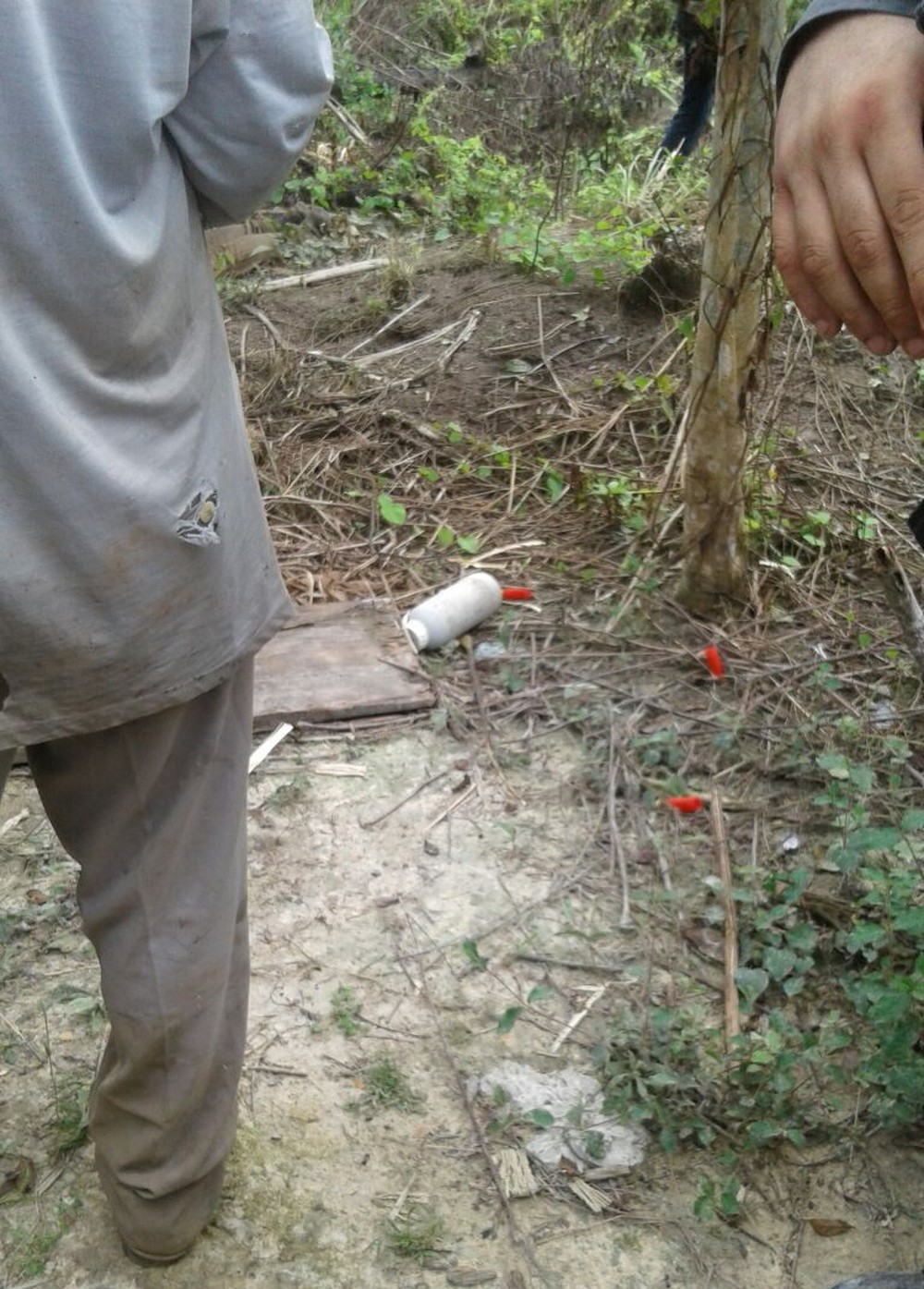 Nove pessoas foram assassinadas em ataque a área rural na quinta-feira em Colniza (Foto: Ciopaer/Divulgação)