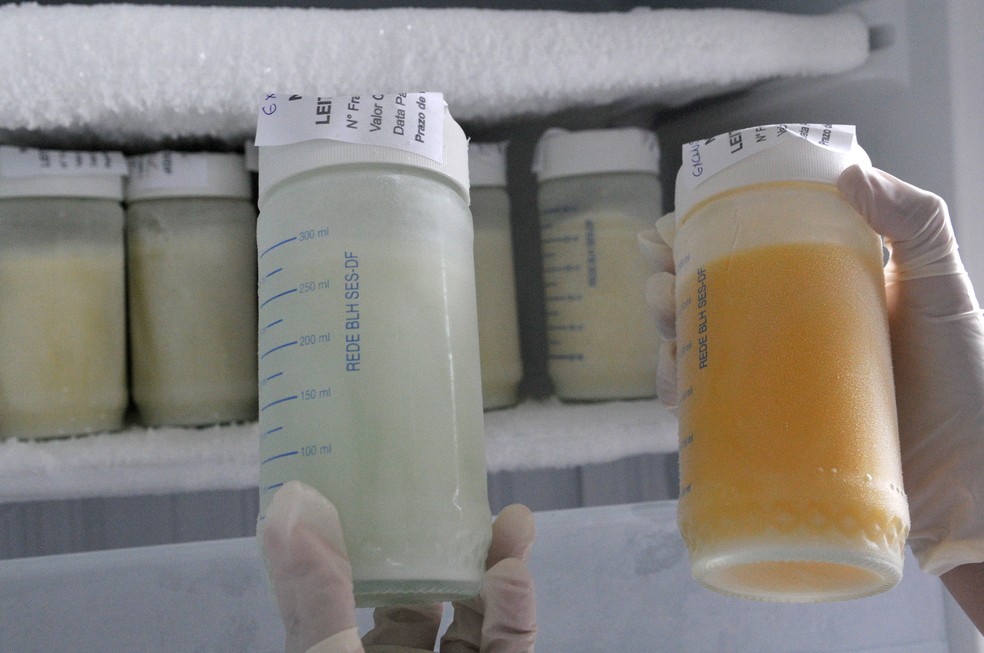 Leite doado e armazenado no estoque de um Banco de Leite (Foto: Tony Winston / Agência Brasília)