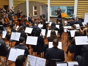 Orquestra Experimental da UFSCar  São Carlos (Foto: Fabricio Mazocco/ FAI)