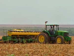 Plantio de soja em Mato Grosso 2 (Foto: Reproduo/TVCA)