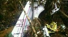 Mais 2 corpos são resgatados em avião no PA (Divulgação / Polícia Militar)