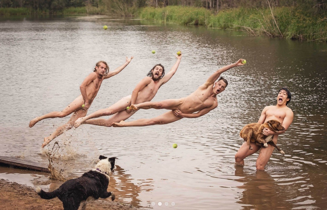 Calendário 2016 de alunos de veterinária de Sydney