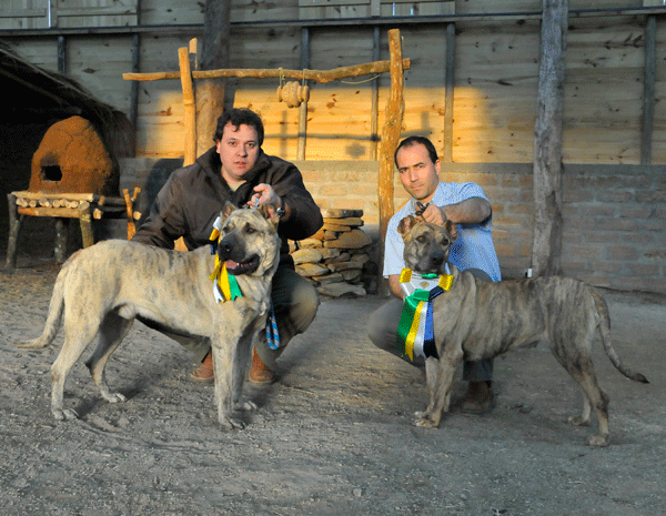 Os criadores Marcos Gomes (E), do Brasil, e Adrian Aran (D), do Uruguai, com os cães Tabaré e Nazarena de Alfares (Foto: Helder Ramos/Parque Gaúcho)