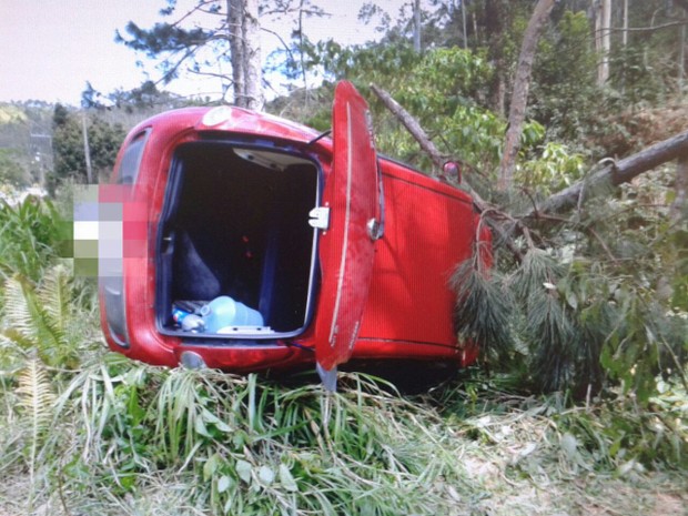 G1 Homem De 51 Anos Morre Após Carro Bater Em árvore Notícias Em