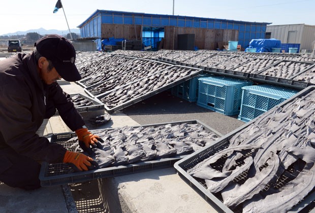 Foto mostra pescador secando partes de tubarões no Japão em março de 2013 (Foto: Toshifumi Kitamura / AFP)