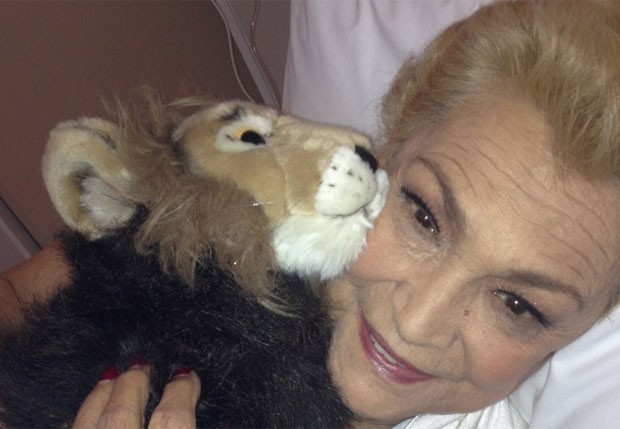 Hebe Camargo publicou uma foto em que aparece abraçada a um leão de pelúcia na quarta-feira (22) (Foto: Reprodução/Twitter)