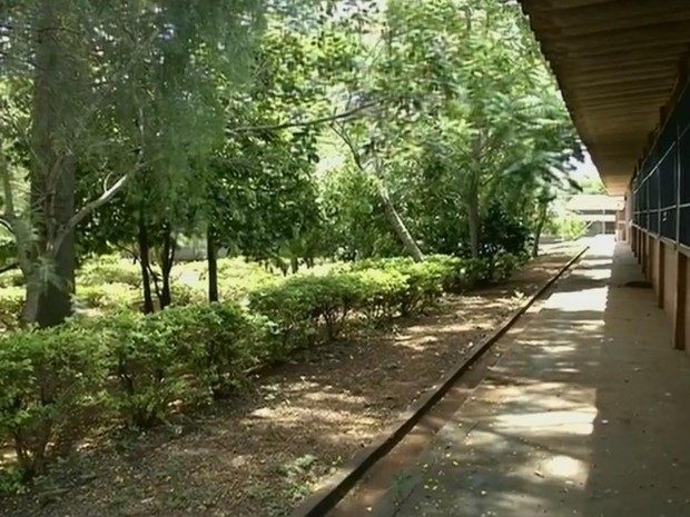 Uma das intenções é ampliar jardim e construir pista de atletismo (Foto: Reprodução/ TV TEM) Uma das intenções é ampliar jardim e construir pista de atletismo (Foto: Reprodução/ TV TEM)