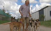 Grupo na web ajuda 'vovô dos cachorros' (Reprodução/TV Globo)