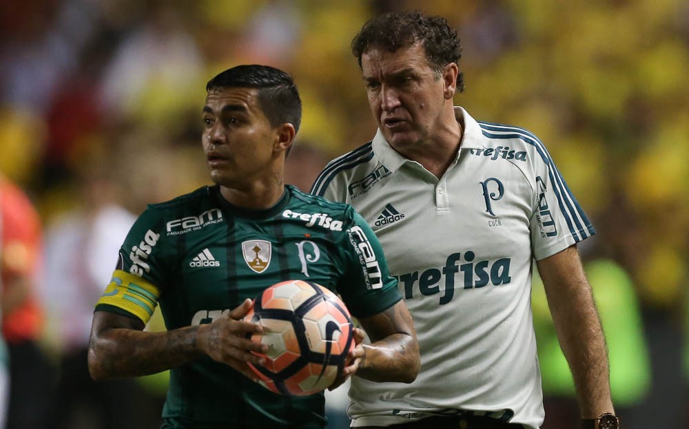 34 dias e uma vaga: Palmeiras busca evolução para seguir na Libertadores