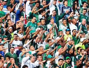 torcida Palmeiras e Paysandu (Foto: Marcos Ribolli / Globoesporte.com)