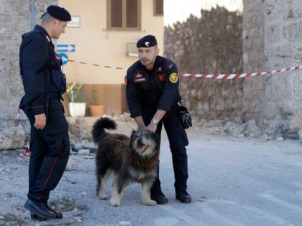 Cão foi resgatado do centro histórico de Norcia, na região central da Itália, após o tremor de domingo (30) (Foto: Gregorio Borgia/AP)
