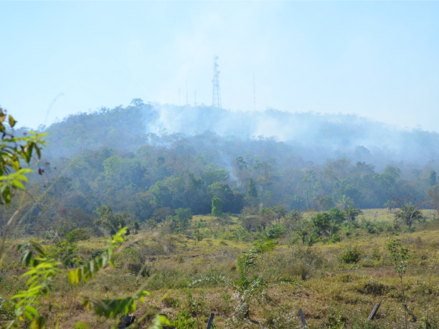 Focos de incêndio atingiram a mata na última terça-feira, em Cacoal (Foto: Magda Oliveira/G1)