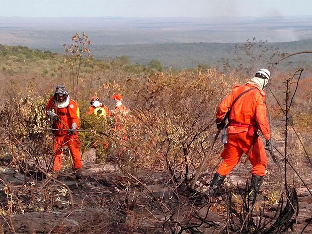 Trabalho de combate ao uncêndio na Chapada Diamantina na sexta-feira (27) (Foto: Maj BM Vianey/Corpo de Bombeiros Militar)