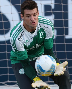 Fábio completa 10 anos de Palmeiras e projeta volta por cima