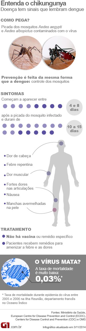 Info Chikungunya V1 (Foto: Editoria de Arte/G1)