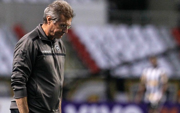 Oswaldo de Oliveira, Botafogo x Palmeiras (Foto: Wagner Meier / Agência Estado)