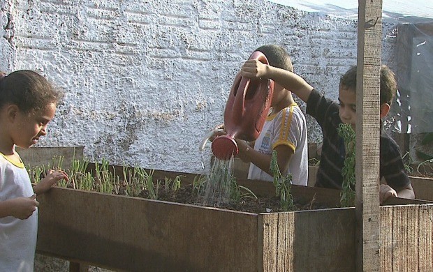 Escola da capital reutiliza água da chuva para limpeza, horta e jardim (Foto: Acre TV)