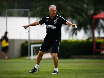 Dorival Júnior, técnico do Santos (Foto: Ricardo Saibun / Divulgação SantosFC)