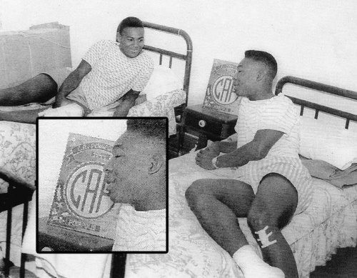 Pelé Coutinho Penapolense Pelepolense (Foto: Reprodução / CA Penapolense)