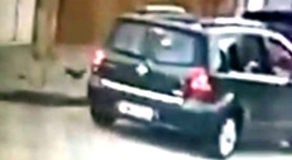 Vídeo flagra momento em que cachorra é atraída para dentro de carro em Praia Grande (Foto: Reprodução/G1)