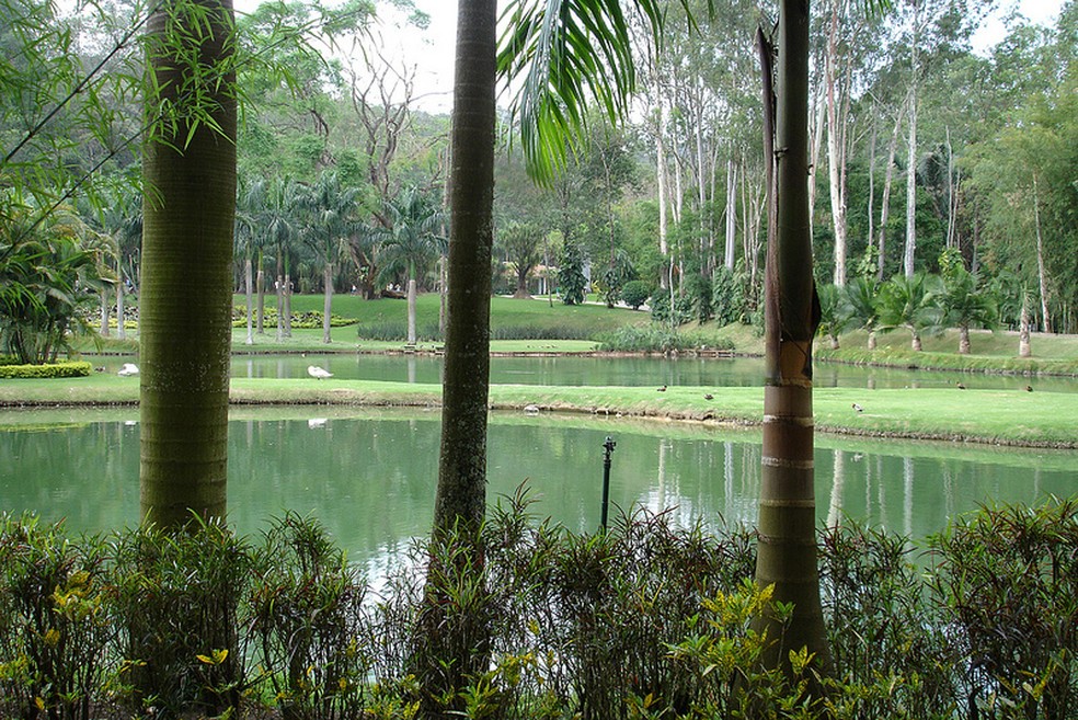 Jardim Botânico do Instituto de Inhotim em Minas (Foto: Carlo A .S. Bituin)