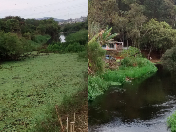 Rio Tietê em Mogi das Cruzes é visivelmente mais poluido em comparação ao trecho do rio em Biritiba Mirim (Foto: Jamile Santana/ G1)