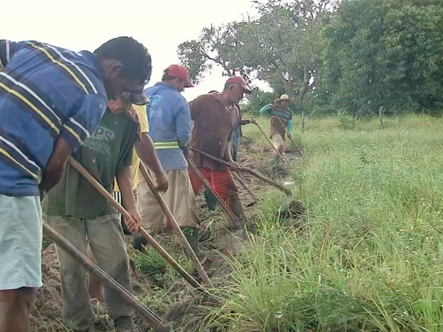 No campo, agricultores anteciparam o período de plantio (Foto: TV Verdes Mares/Reprodução)
