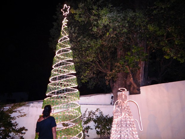 G1 - IMA tem árvore de Natal ecológica - notícias em Alagoas