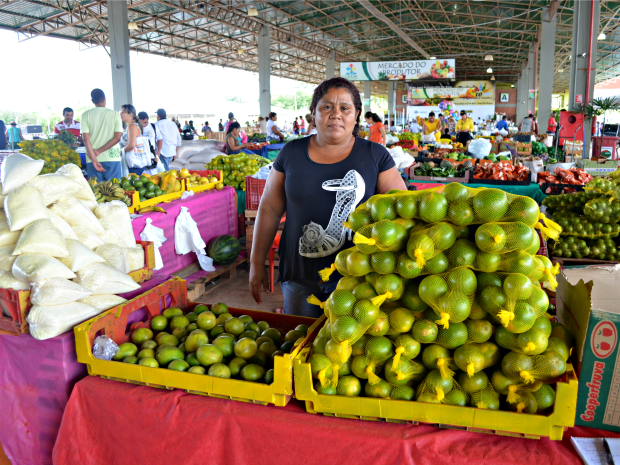 Enchente levou plantação de limão e laranja de Ducilene, agricultora precisou comprar esses produtos para revender na feira (Foto: Aline Nascimento/G1)