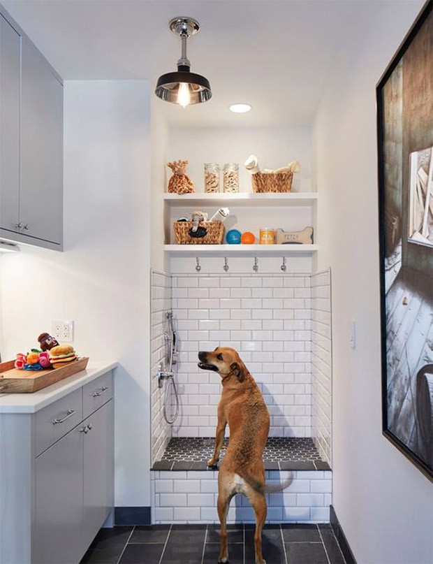 Dog shower: construa o espaço em imóveis pequenos! (Foto: Pinterest/Reprodução)