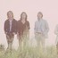 The Doors