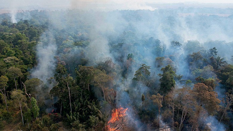 Reportagem de GLOBO RURAL revela como um grupo formado pelo WhatsApp planejou incêndios em Novo Progresso, no Pará (Foto: Emiliano Capozoli)