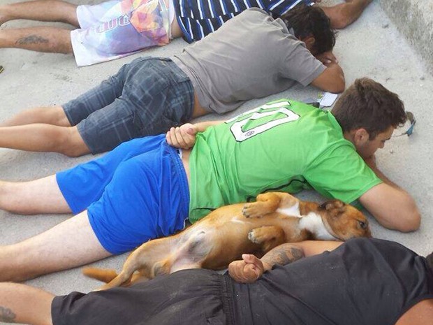 Cão deita ao lado de suspeitos revistados em operação conjunta da Deic e PM (Foto: PMSC/Divulgação)