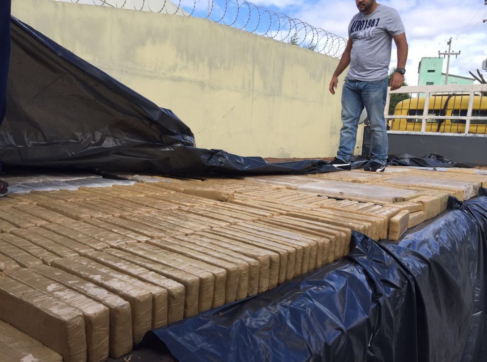 Polícia Federal apreendeu carregamento de drogas durante a 'Operação Minotauro', em 2016 (Foto: Ascom/PF)