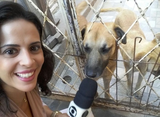 A repórter Ana Carolina foi até Taiobeiras para conferir a amizade entre Lobo e seu dono (Foto: Ana Carolina/Inter TV Grande Minas)