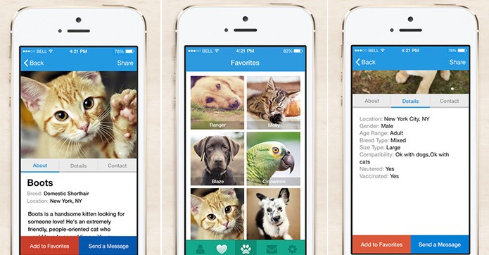 App AllPaws promete encurtar o caminho para adotar um bicho de estimação (Reprodução)