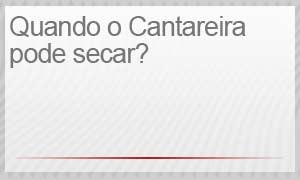 Perguntas sobre o Cantareira - Quando o Cantareira pode secar? (Foto: Arte/G1)