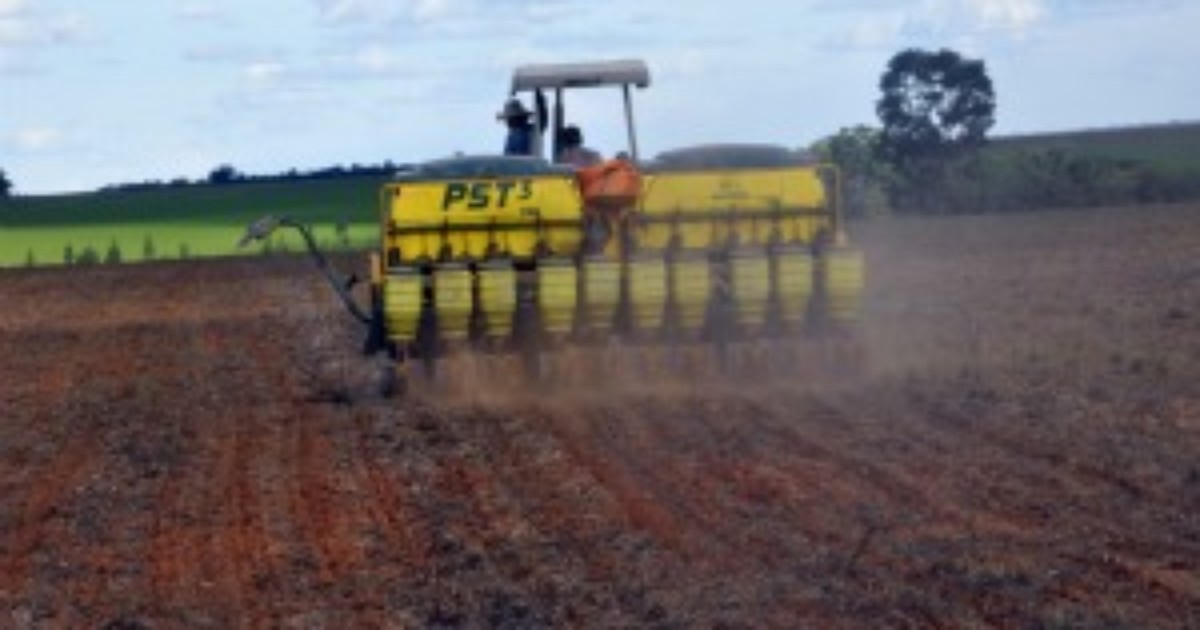 Resultado de imagem para PLANTIO DO ALGODÃO CHEGA A 2,7% DA ÁREA EM MATO GROSSO; ALGUMAS REGIÕES AINDA NÃO INICIARAM SEMEADURA